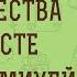 ПРОРОК МИХЕЙ ПРОРОЧЕСТВА О ХРИСТЕ Дмитрий Георгиевич Добыкин