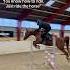 Just Ride Your Horse Equestrian Horse Horses Pony Pferde Cheval Hest Trending Funny