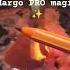 Что будет дальше Гадание на воске Margo PRO Magic