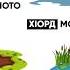 Водоемы на чеченском языке