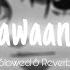 The Jawaani Song Slowed Reverb