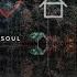 South Africa Soulful Deep House Vol 1 Duke Soul Tribute By Remedy Mixtapes