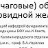 Узловые очаговые образования щитовидной железы