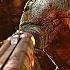 DOOM OST Rip And Tear Hour Loop