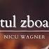 Nicu Wagner Ca Vântul Zboară Anii