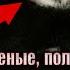 10 известных исторических личностей серьезно увлекающихся оккультизмом