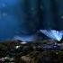 E Mantra Mix Progressive Trance Goa Trance Psybient Psytrance 80 Bpm