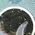 Fugu Vibes Chill Beats To Listen To Music Chill Uppbeat