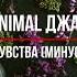 Animal ДжаZ Чувства минус