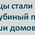 Голубой Араб Еврейские Анекдоты Про Евреев Выпуск 384