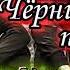 ТРЕК Shahrukh Kenjaev Чёрни кн дусти паста Шахрух Кенчаев Chyorni Kun Dusti Pasta