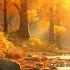 Relaxing Piano Music For Stress Relief 24 7 Enchanting Autumn Nature Scenes Leaves Autumn Forest