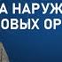 Как избавиться от нестерпимого зуда наружных половых органов Врач гинеколог Перелыгин И В