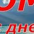 РОМА С ДНЕМ РОЖДЕНИЯ