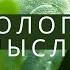 Экология мысли Музыканты на улице Shorts