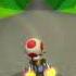 Mario Kart Wii Toad Bit Bike