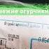 Свежие огурчики