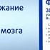 Прогноз погоды на нтв с ромой Выпуск от 08 08 21