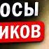 Ответы на вопросы подписчиков 1 Правильная Лида