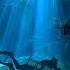 4K Cenotes Dive Relaxation Video Mexican Underwater Caves Incredible Underwater World 3 HOUR