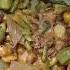 Parwal Parwalrecipe Parwalaloo Aloo Sabji Shorts Shortsfeed Viral Trending