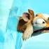 Ice Age 2 Scrat And Squirrel No Time For Nuts Iceage2 Squirrel And Scrat