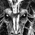 HYDRA MANE THE DEVIL S PLAN
