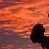 One Night Good Life Instrumental Version BLAEKER