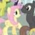 MLP FIM Couples You Ll Be In My Heart