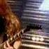 Megadeth Foreclosure Of A Dream Official Music Video