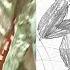 King Kong 2016 Fan Film ANIMATIC FINAL SCENE T Rex Fight