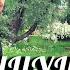ПАНЦУШОТ Выпускниц