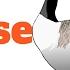 How To Sneak Up On Canadian Geese