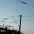 Еду в поезде домой