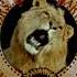 Metro Goldwyn Mayer 1991