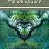 Dr Joe Dispenza S GUIDED MEDITATION For ABUNDANCE LAW OF ATTRACTION REWIRE YOUR BRAIN