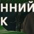 О чем плачет твой внутренний ребенок Психолог Наталья Инина