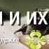 Летучие мыши Цикл Звери и их люди