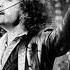 Bob Dylan Live Is Your Love In Vain Toronto 1978