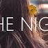 Jason Ross When The Night Falls Lyrics Ft Fiora