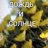 Любите себя и жизнь