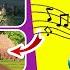 Whose House Is It Guess The Song House Disney Princess Disney Songs Music Quiz