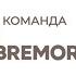 Проект Команда BREMOR Вячеслав Абрамук заместитель начальника складского хозяйства