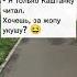 MeGoodStory Обними меня как Megoodstory приколы анекдоты смешные видео юмор