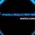 Martin Garrix Animals Riggi Piros Remix Progressive House