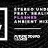 Stereo Underground Feat Sealine Flashes Ambient Mix