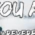 See You Again Wiz Khalifa Feat Charlie Puth Song Slowed Reverb Lyrics