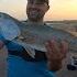 Last Cast Magic Catching A 23 Speckled Trout On The Last Perch Of The Day Fishing Corpus Christi