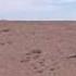 What Does The Gobi Desert Look Like