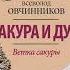 Всеволод Овчинников Ветка сакуры Аудиокнига